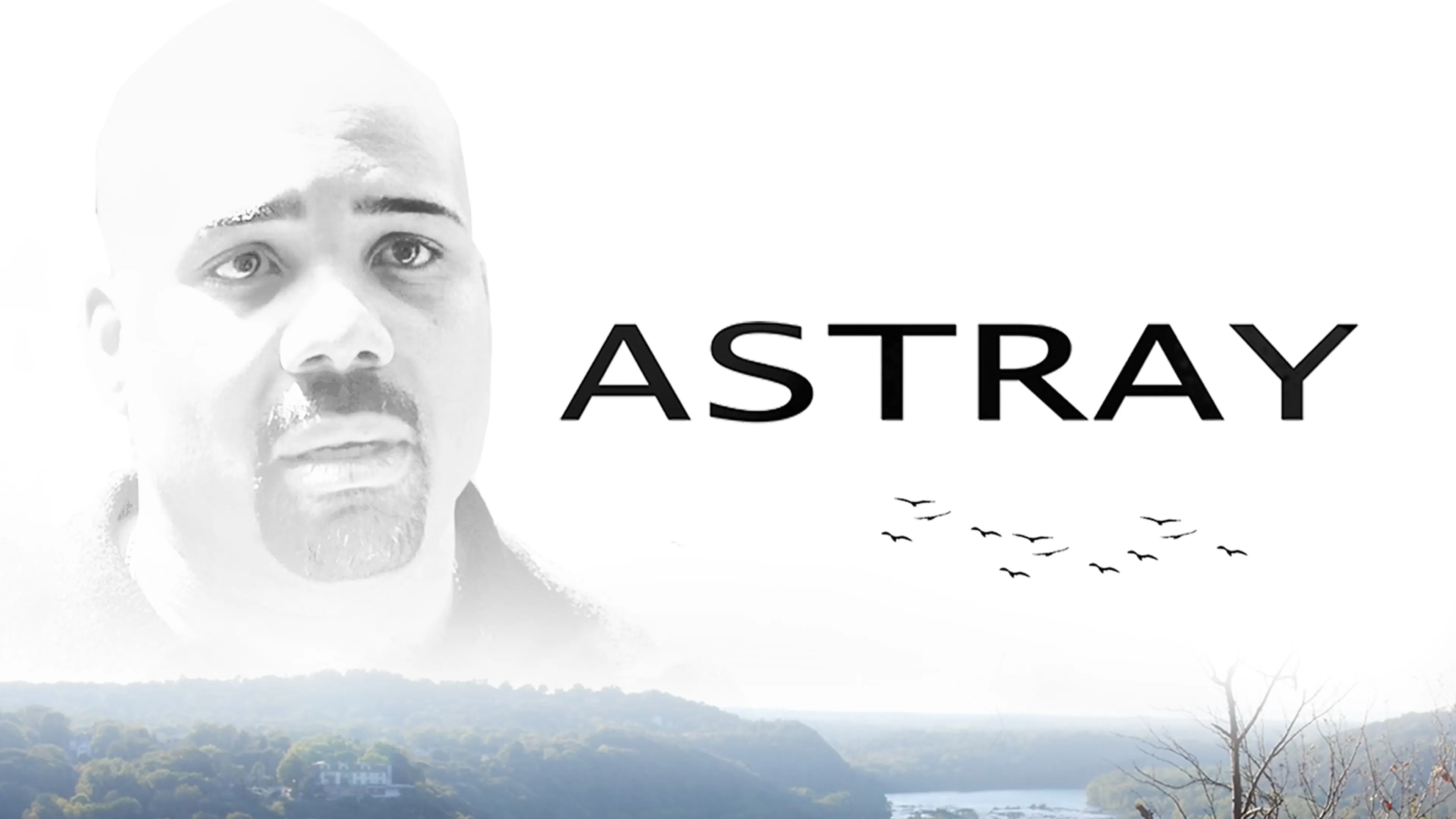 Astray poster